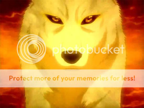 wolf-3.jpg golden wolf image by weatherking193