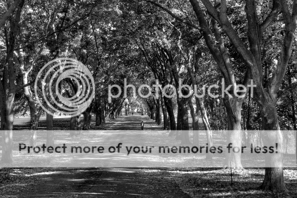 IMAGE: http://i639.photobucket.com/albums/uu113/Gebber09/hdrwalke1.jpg