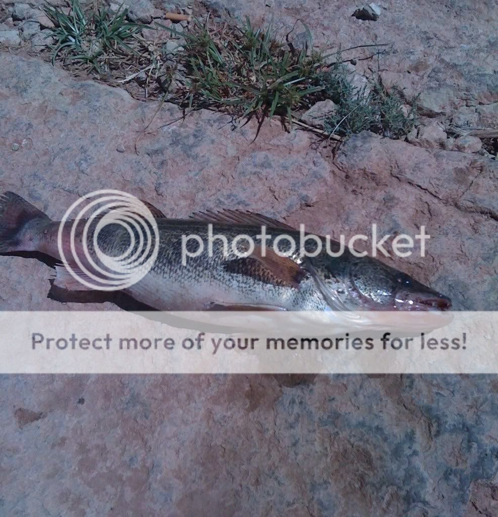 Ft Phantom/Kirby Freshwater Reports Texas Fishing Forum