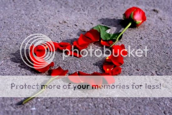 love heart photo: love k-heart-Herzen-Love-wow-Comments3-hearts-merci-lovebisous-flower-new-album-serca-fleurs-valentines-rosas-flowers_large.jpg