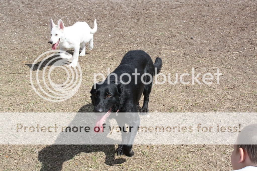 IMAGE: http://i639.photobucket.com/albums/uu115/michindi09/NanookReba.jpg