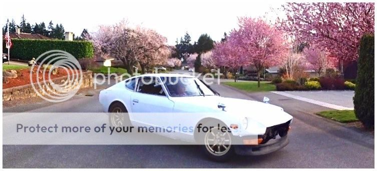 0224A94A-7CE8-46E9-A4FD-B77391CA9184-441