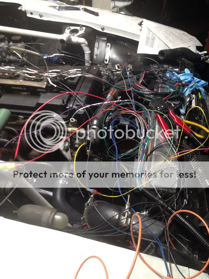 6AD15D23-D7D4-41BF-A58A-F0A62D16D774-515