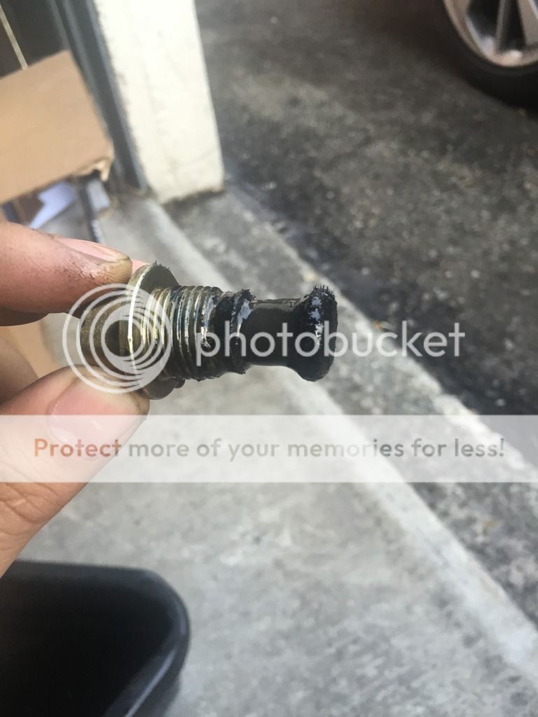 B2690D0E-10F9-43E3-AD05-D7CE09587503_zps