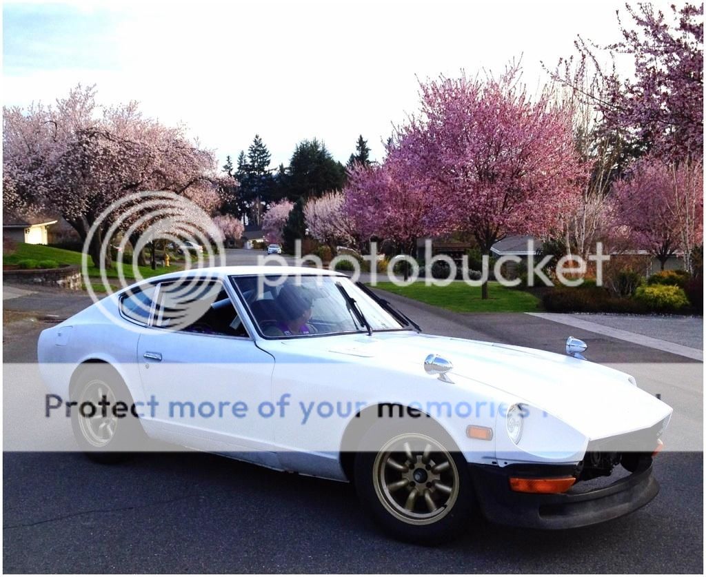 BF80C7FB-254F-4284-9FBD-D73B5CAD7C1A-441