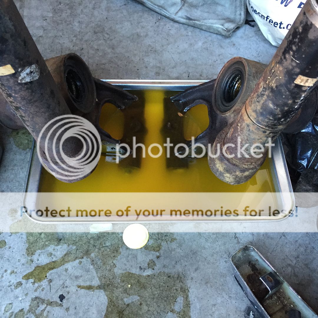 E991B702-53CA-4B41-A66D-FE6005B0E1AF_zps