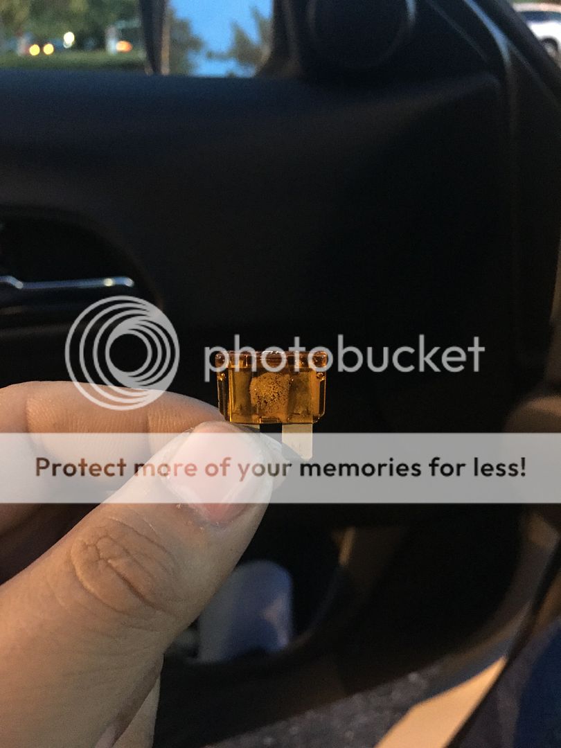 E9CE25B8-0913-453B-8600-514B70854913_zps