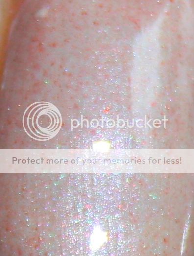 photo IMG_1706_2_zps8f6e1f62.jpg