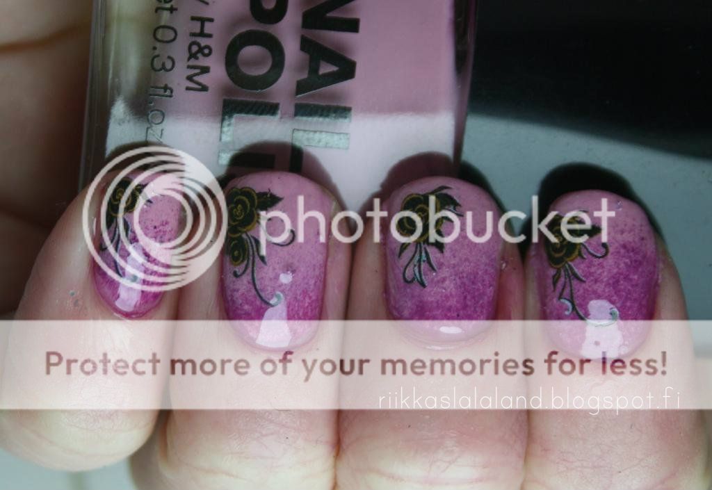 IMG_0102_zpsfb31e6d7