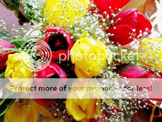 Fiori.jpg